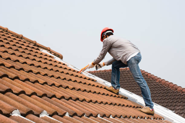 Best Chimney Flashing Repair  in Bear, DE
