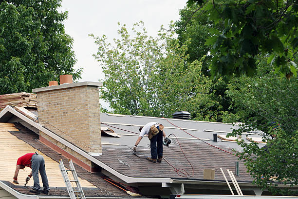Best Roof Moss and Algae Removal  in Bear, DE
