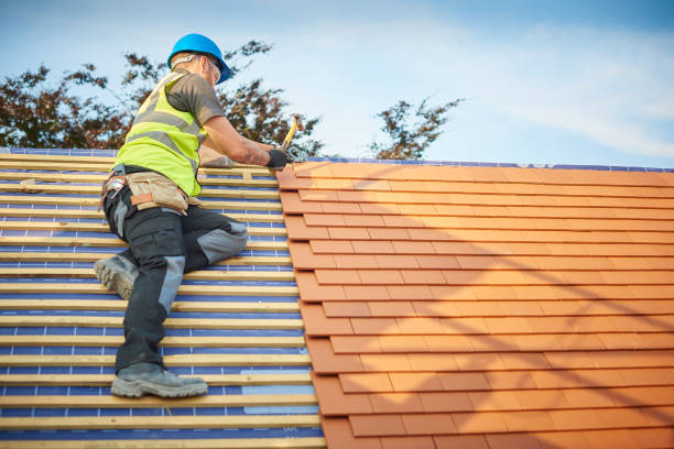 Best Roof Insulation Installation  in Bear, DE